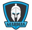 Grupo Guardians Seg